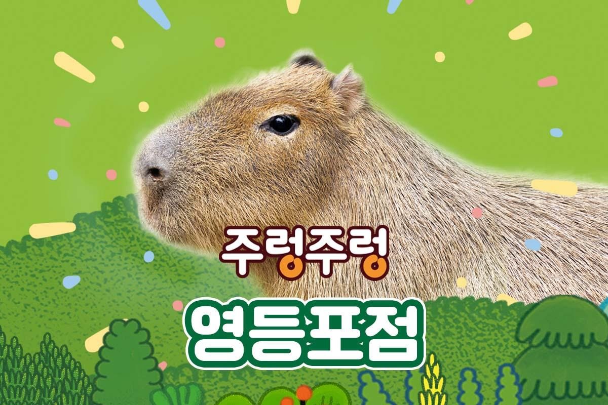서울 근교 실내 나들이, 주렁주렁 실내 동물원, 동물을 직접 만지고 교감하는 체험