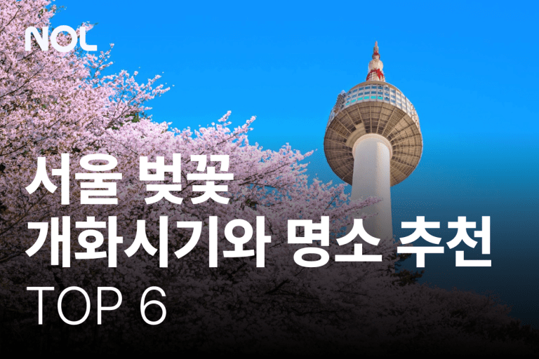 서울-벚꽃-개화시기-서울-벚꽃-명소-추천