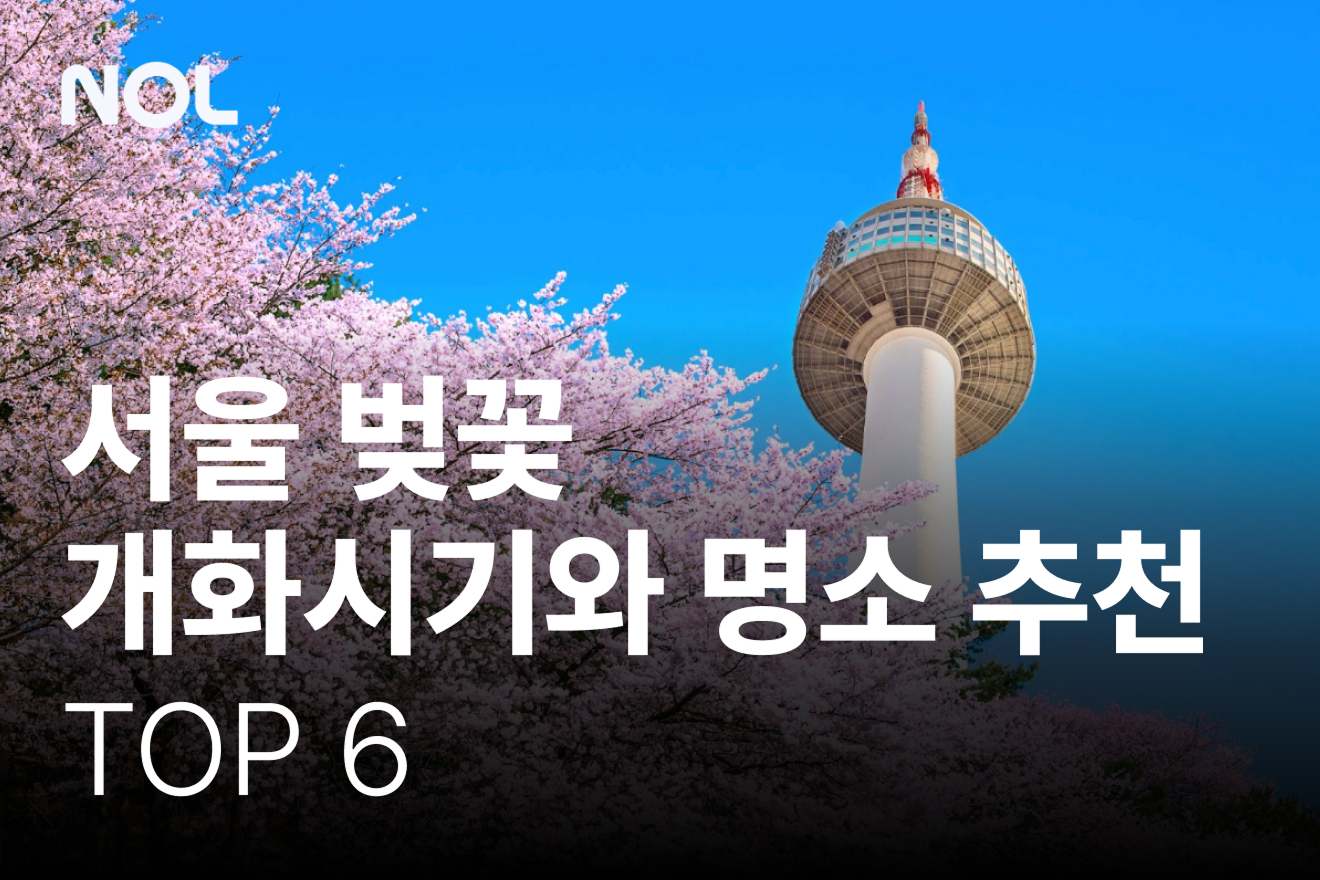 서울-벚꽃-개화시기-서울-벚꽃-명소-추천