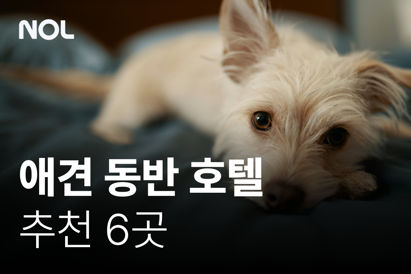 애견-동반-호텔-추천