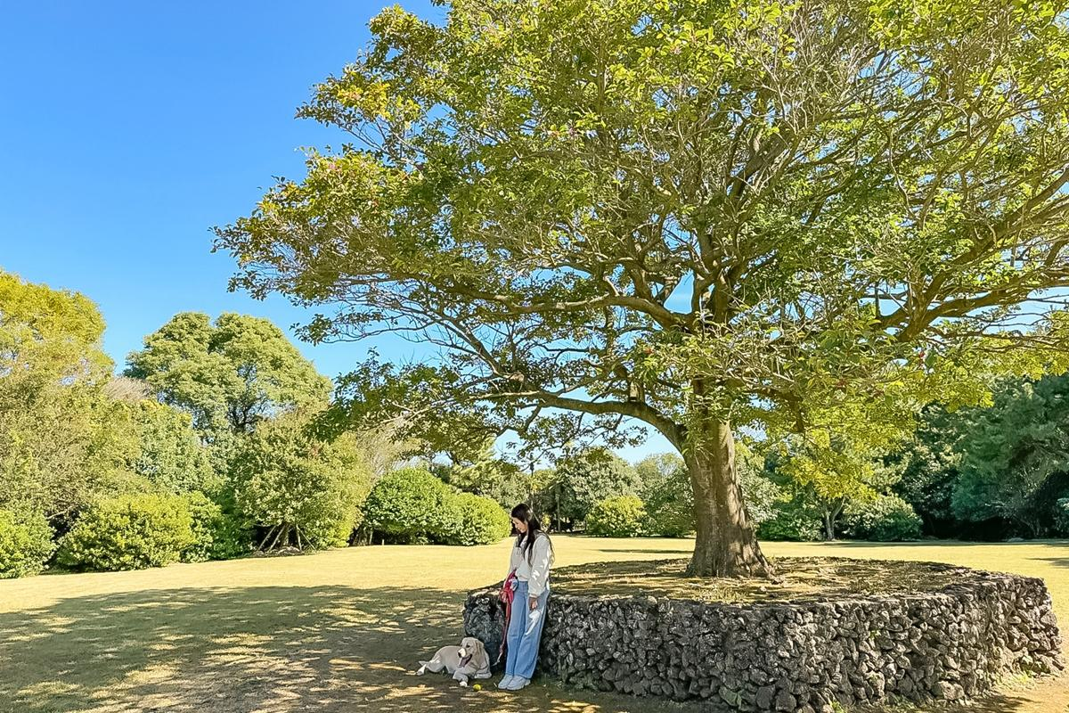 제주도-가볼만한곳-제주-로컬-감성-제주-일출랜드