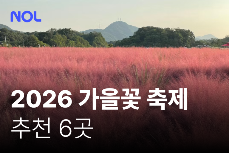가을 꽃 축제 추천
