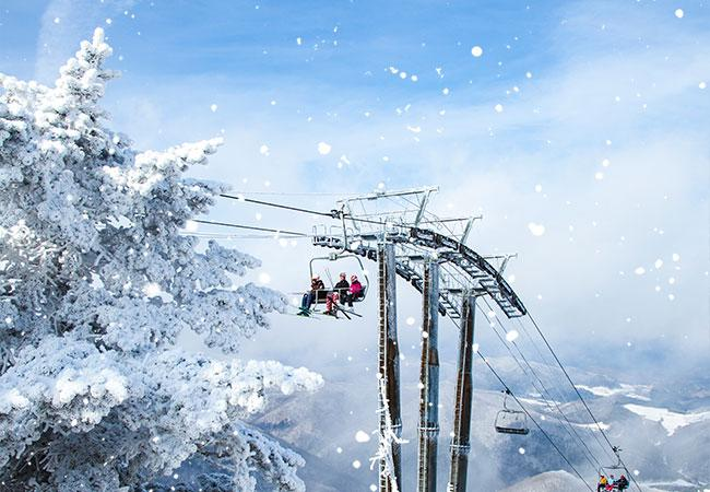 평창스키장-모나용평-스키장 1박 2일 여행 추천 TOP 3