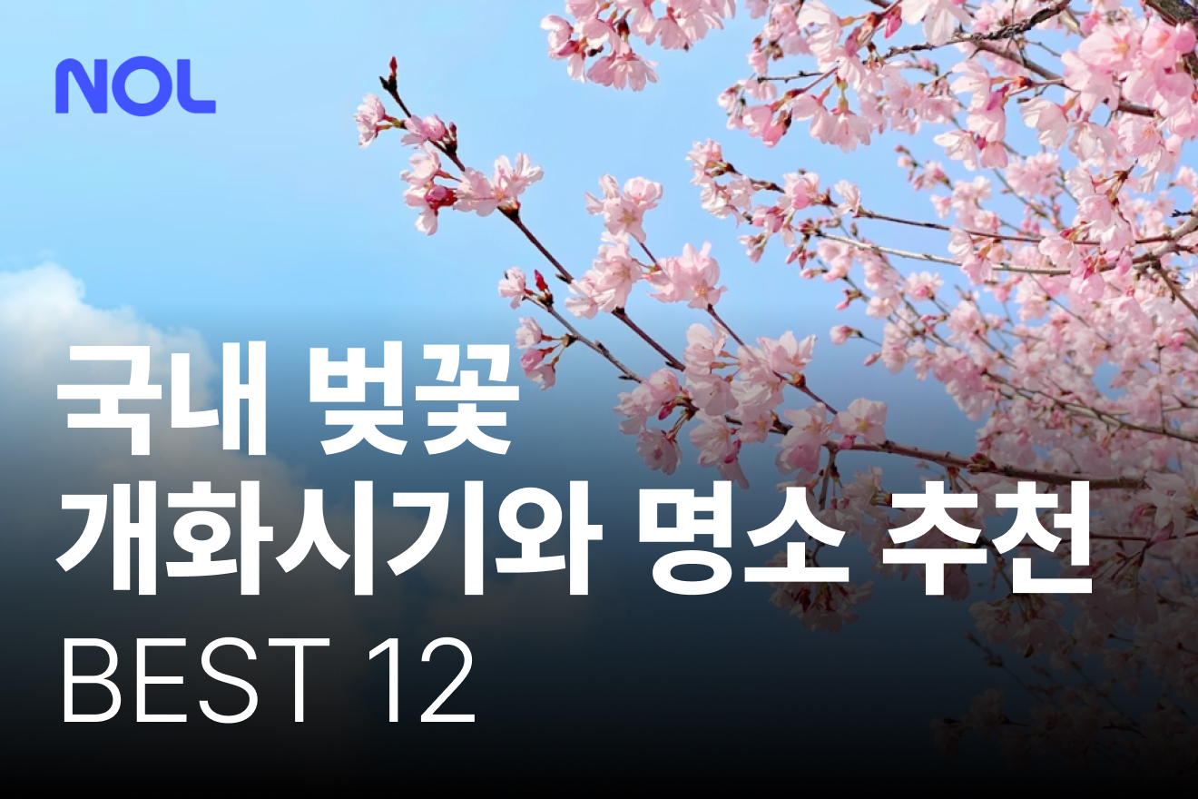 국내-벚꽃-개화시기-국내-벚꽃-명소-추천