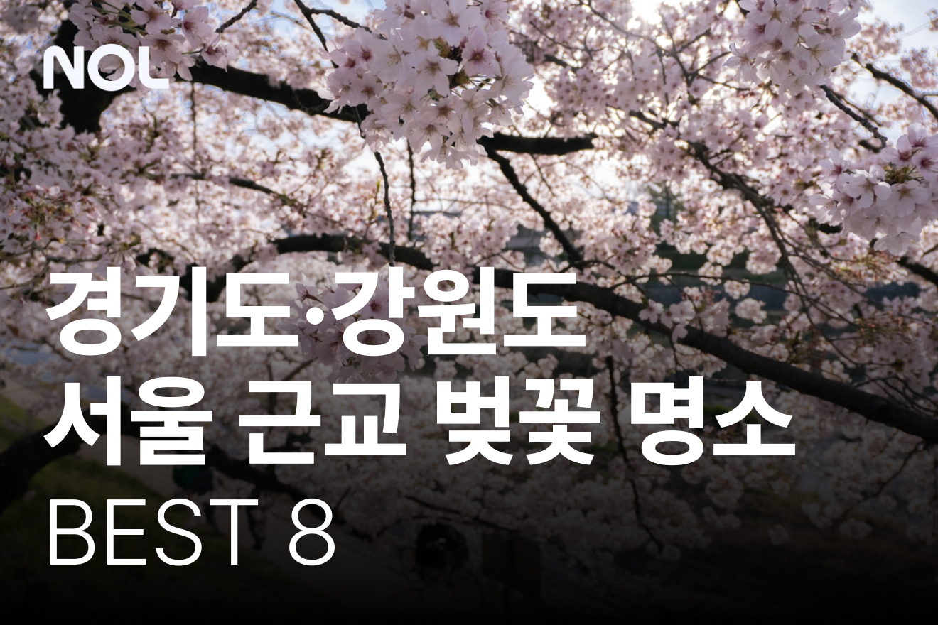 서울-근교-벚꽃-명소-추천-경기도-강원도-벚꽃