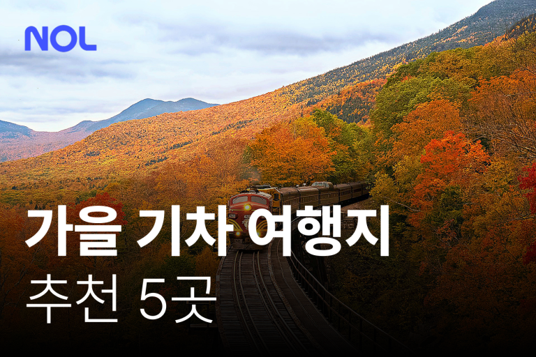 가을-기차-여행지-추천