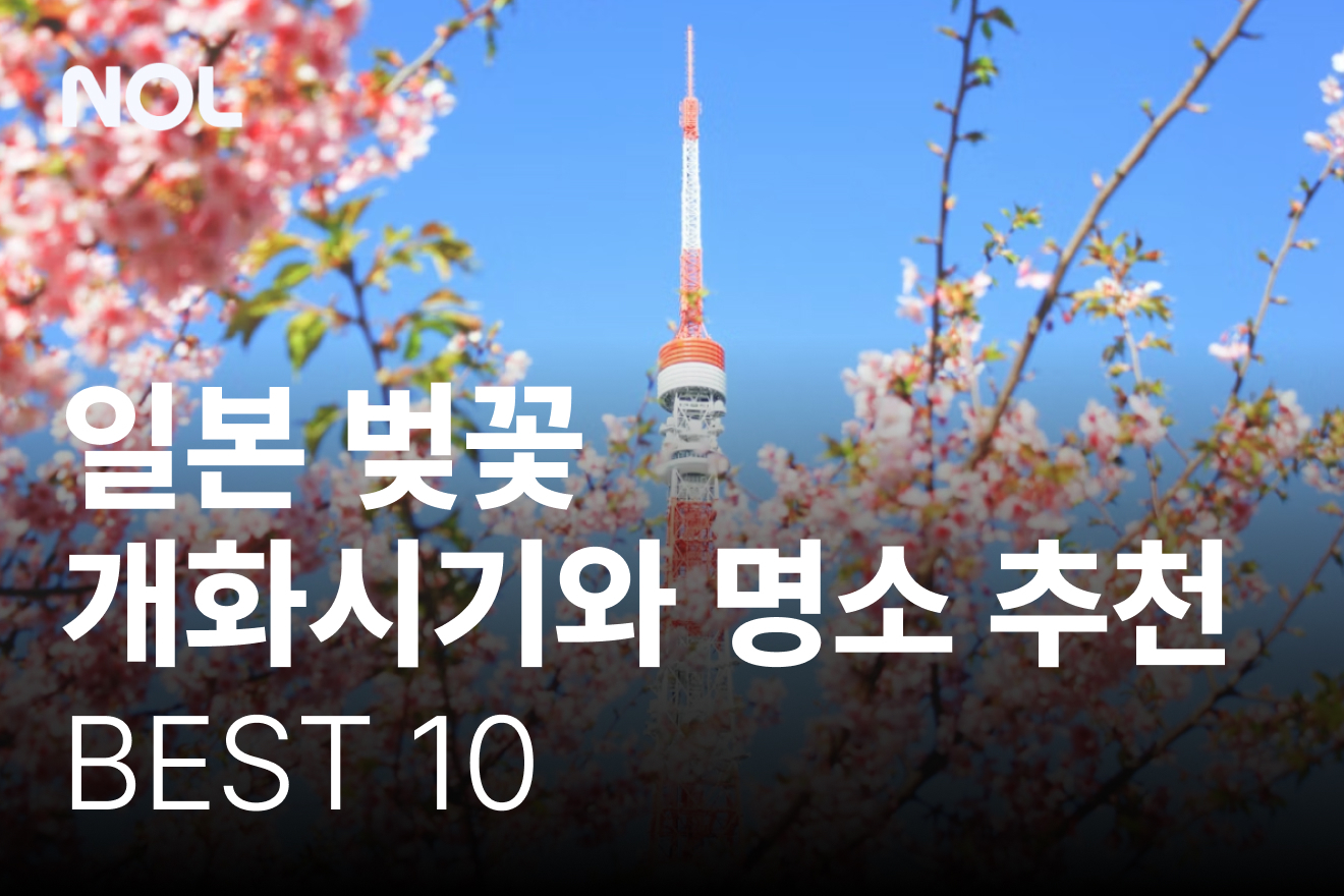 일본-벚꽃-개화시기-일본-벚꽃-명소-추천