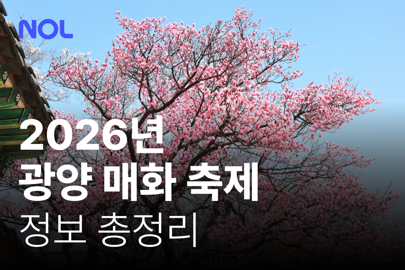 광양매화축제-광양매화마을여행